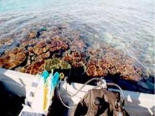 General view
 di Matamanoa Island