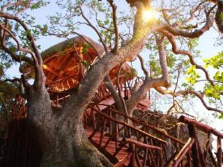 General view
 di Matamanoa Island