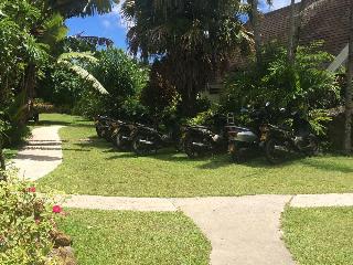 Palm Grove Resort photo 5
