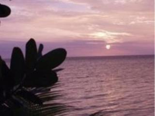 General view
 di Lomani Island Resort