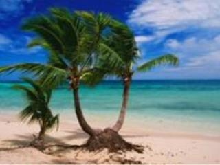 General view
 di Lomani Island Resort