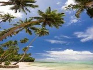 General view
 di Mango Bay Resort