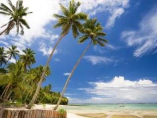 General view
 di Mango Bay Resort