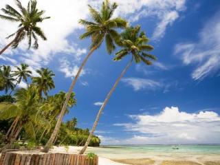 General view
 di Mango Bay Resort