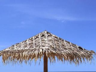 General view thumbnail 11
