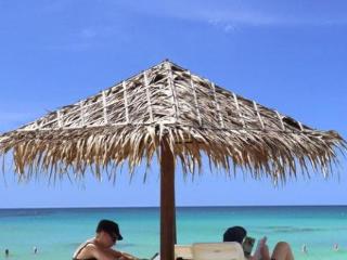 General view thumbnail 19