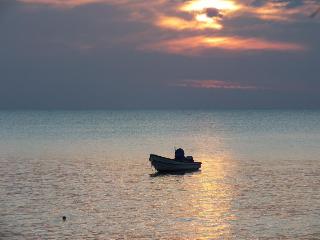 General view thumbnail 56