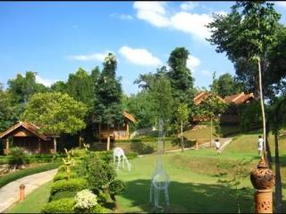General view