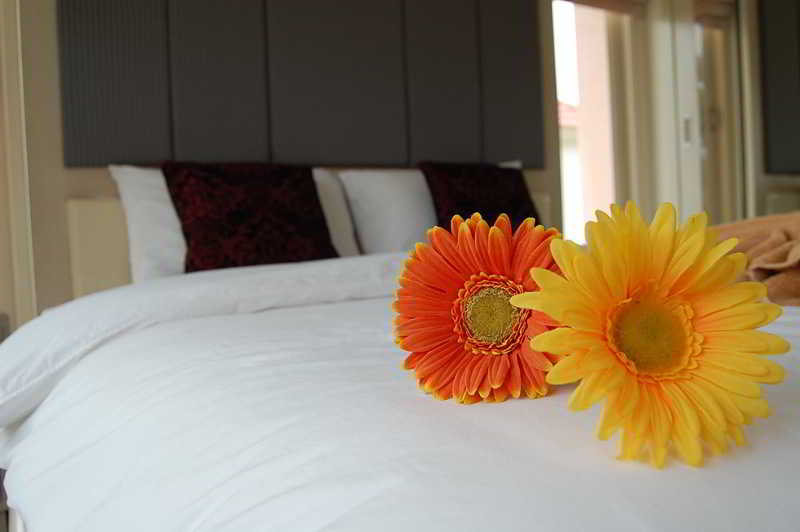 Room thumbnail 15