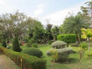 General view thumbnail 6