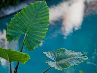 General view thumbnail 26