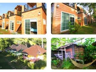 General view thumbnail 10