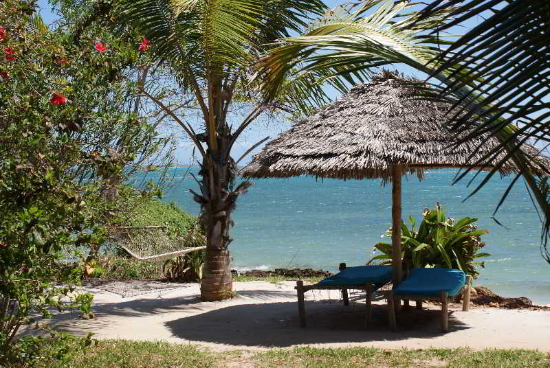 General view thumbnail 6