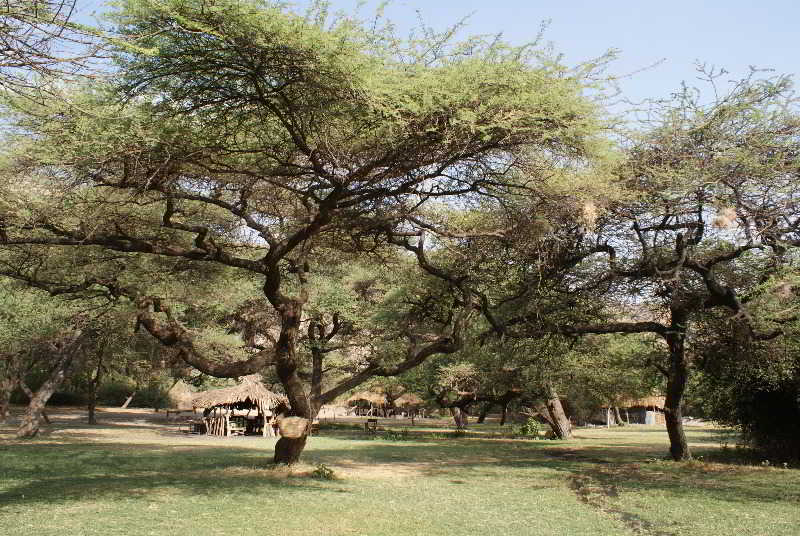General view
 di Lake Natron Tented Camp