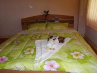 General view thumbnail 23