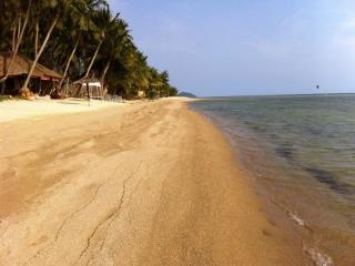 General view thumbnail 4