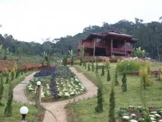 General view
