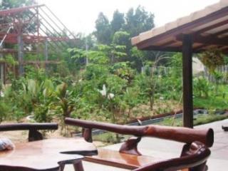 General view thumbnail 6