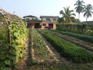 General view thumbnail 6