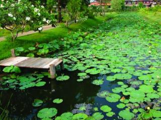 General view thumbnail 13