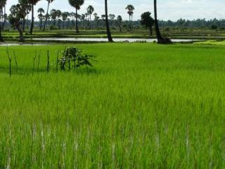 General view thumbnail 20