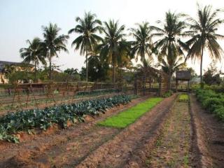 General view thumbnail 42