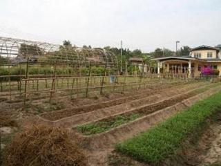 General view thumbnail 61