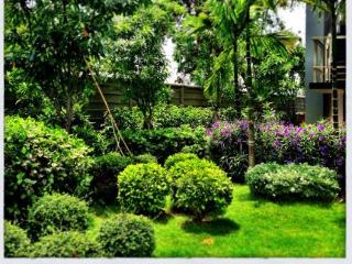 General view thumbnail 5