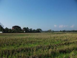 General view thumbnail 91