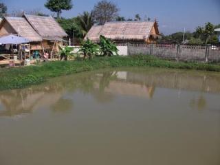 General view thumbnail 95