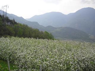 Unterinnerhof, Trentino Alto Adige