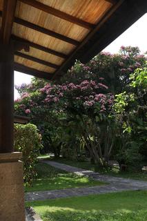 General view thumbnail 4