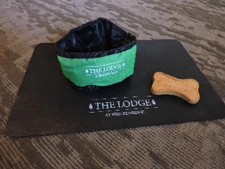 The Lodge & Spa at Breckenridge