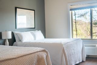 Room Room