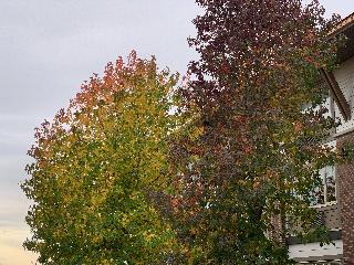 Holiday Inn Victoria - Elk Lake