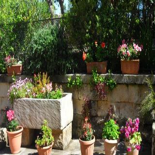 Masseria Gattamora, Puglia