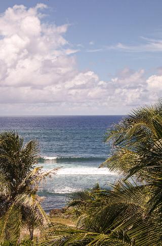 ECO Lifestyle & Lodge