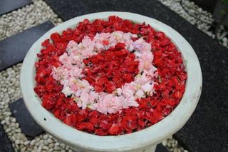 General view thumbnail 49
