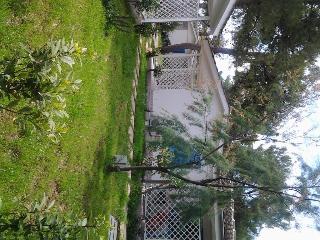 Le Orchidee, Puglia