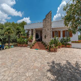 Il Gelso, Puglia