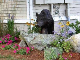 Cedar Park Inn & Whirlpool Suites