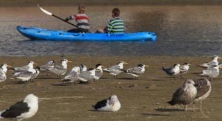 African Oceans Manor on Beach African Oceans Manor on Beach