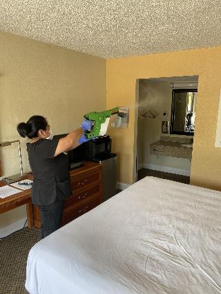 Room Room