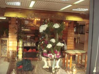 Oasis Heliopolis