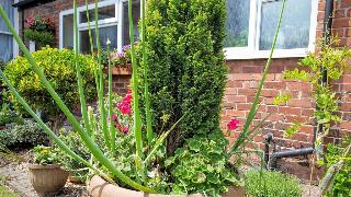 Chester Brooklands B&B, Chester