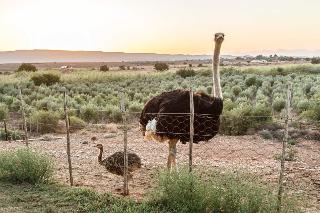 De Denne Country Guest House
