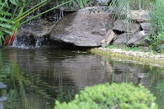 Pousada Surucuá