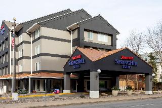 Springhill Suites Rochester Mayo Clinic Area/St. M