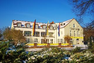 Goldener Fasan, Dessau