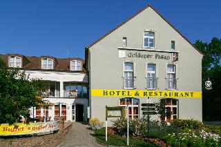 Goldener Fasan, Dessau